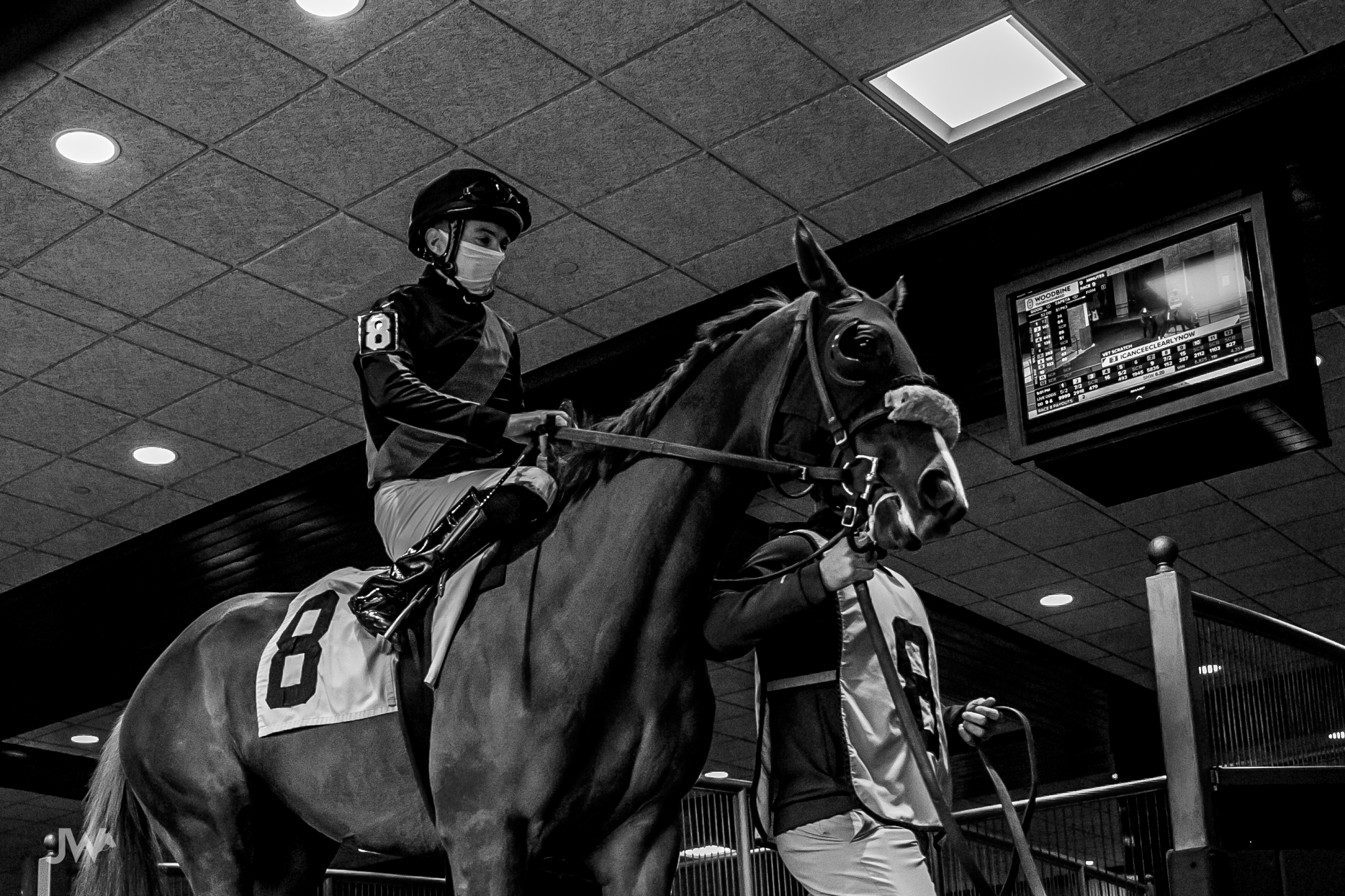 Woodbine Entries - 6s4079p
