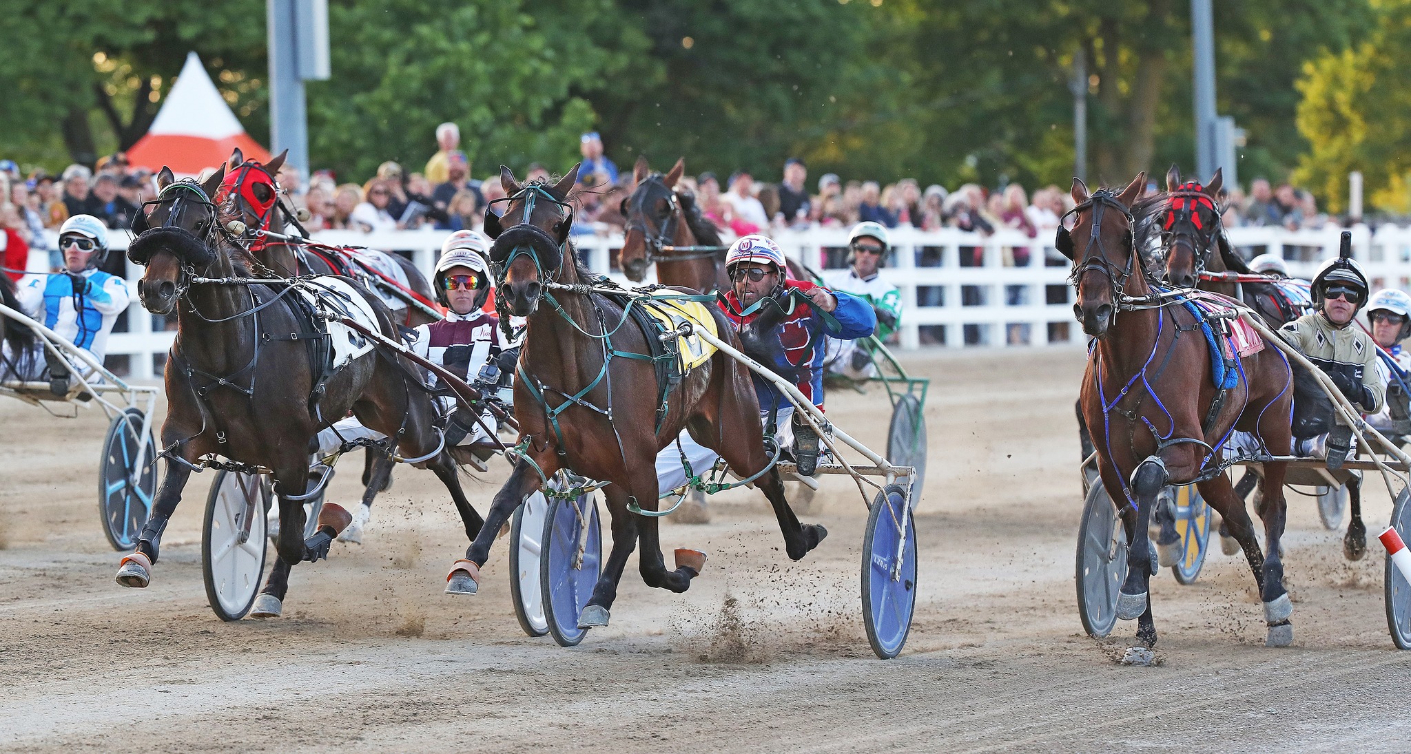 The Raceway in London Gearing Up for Busy Fall Meet