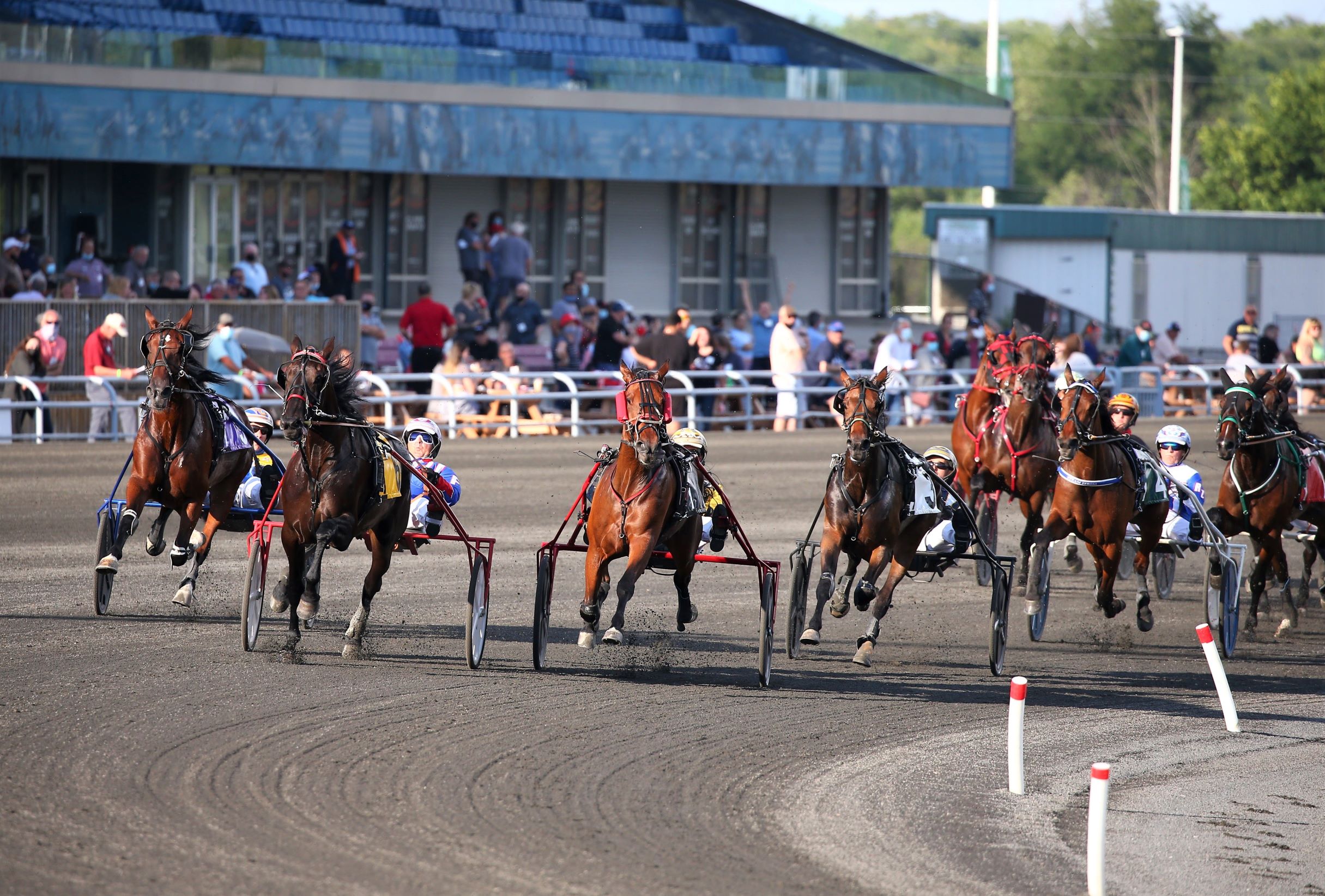 Fans cheer Ontario’s top trotters to impressive Gold efforts