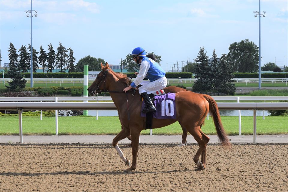 Jennifer Morrison’s Woodbine Thoroughbred Selections: Saturday, August 1, 2020