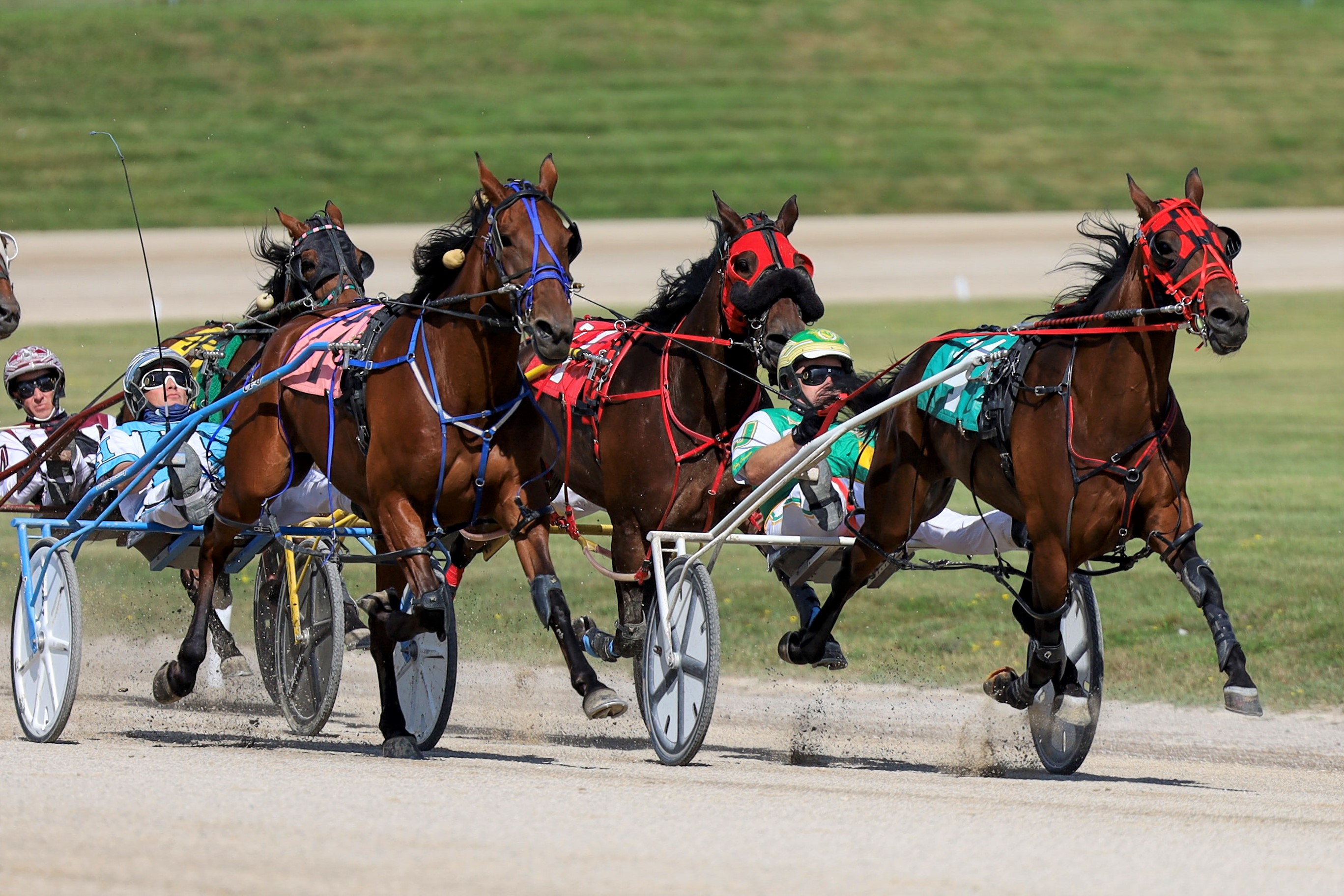 Melissa Keith’s Rideau Carleton Raceway Selections: Thursday, December 9, 2021