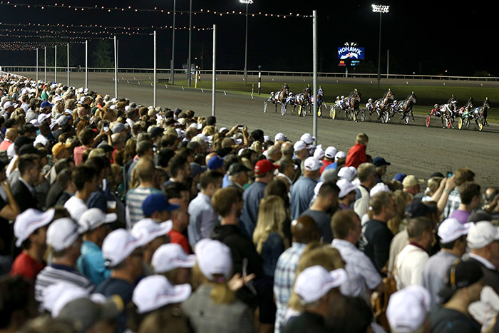 Steady numbers for NA Cup and other WEG stakes