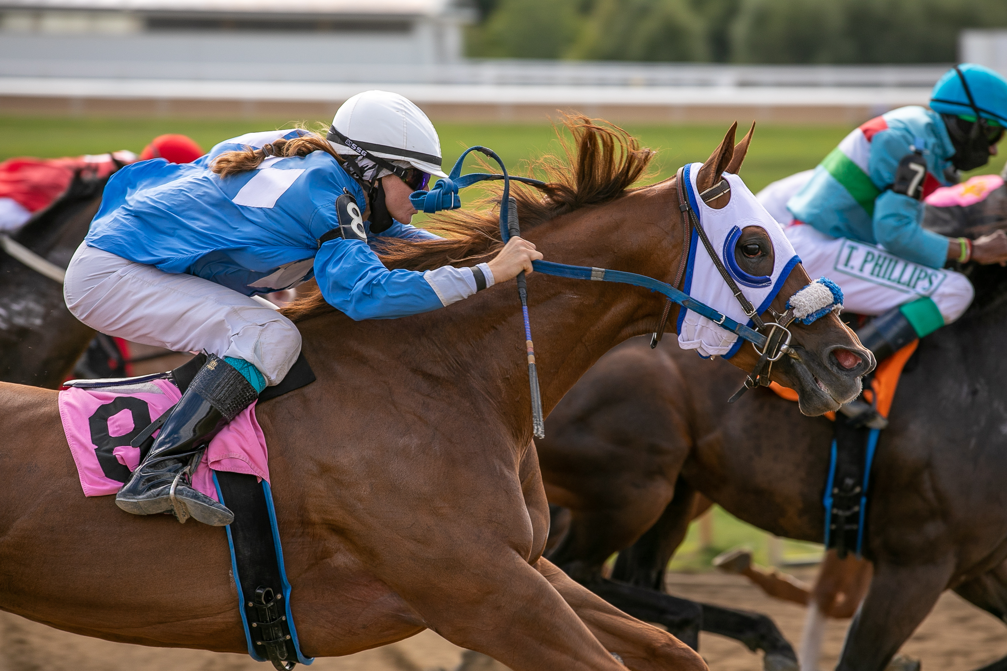 Ontario's Quarter Horse Industry On The Way Up