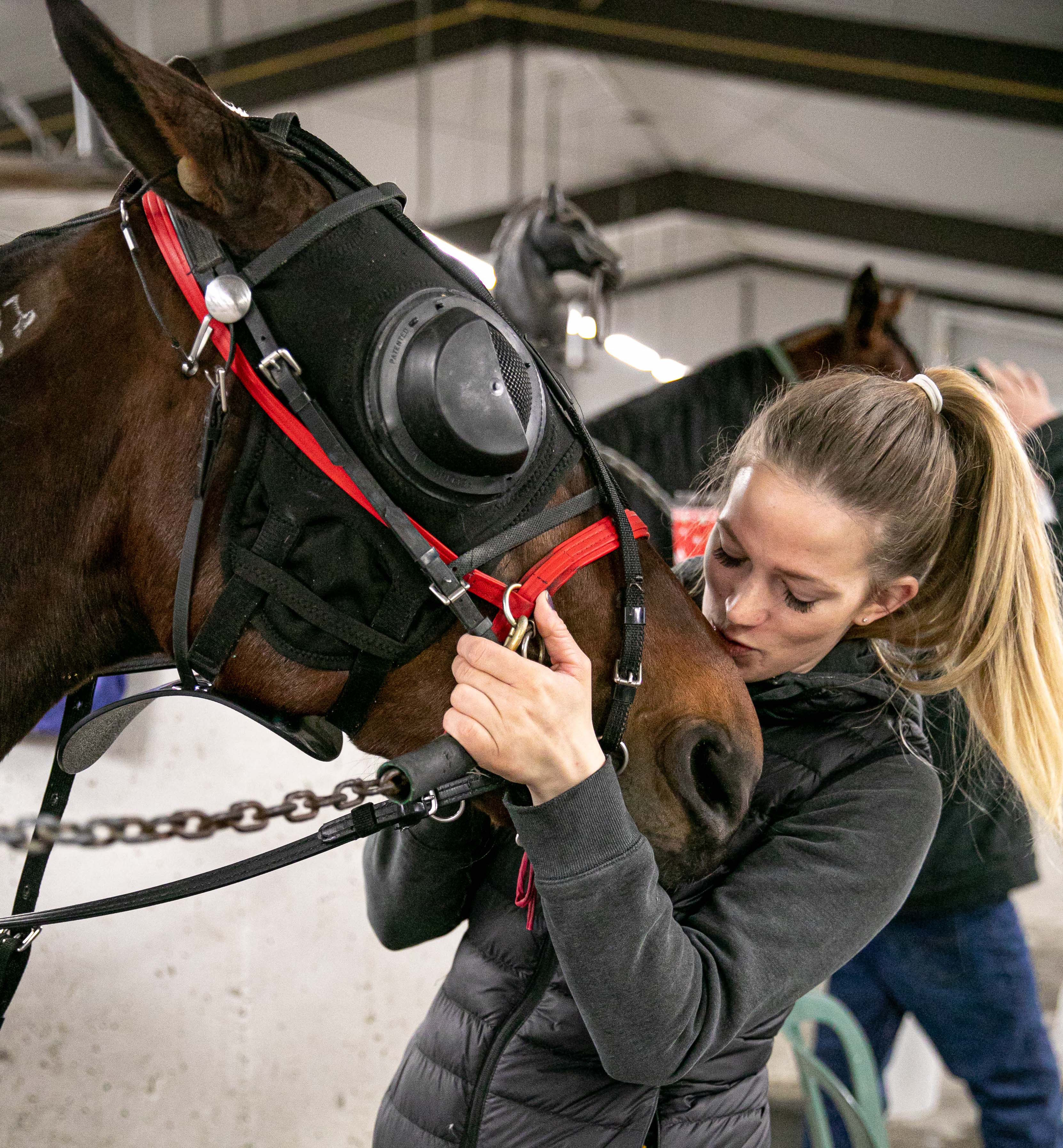 The Hope Horses Bring