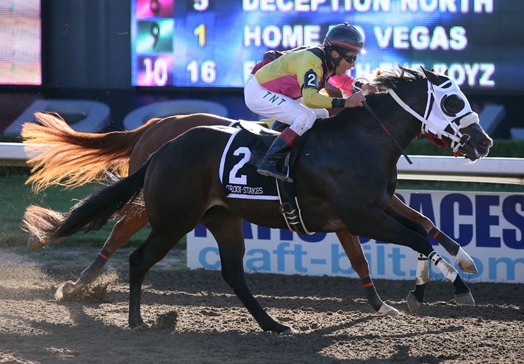 DENALI TELLER OFF, ONE FAMOUS GLASS BIG WINNERS AT AJAX DOWNS