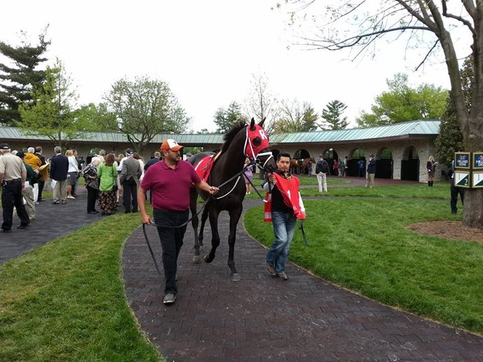 Eight-horse field for Prince of Wales Stakes