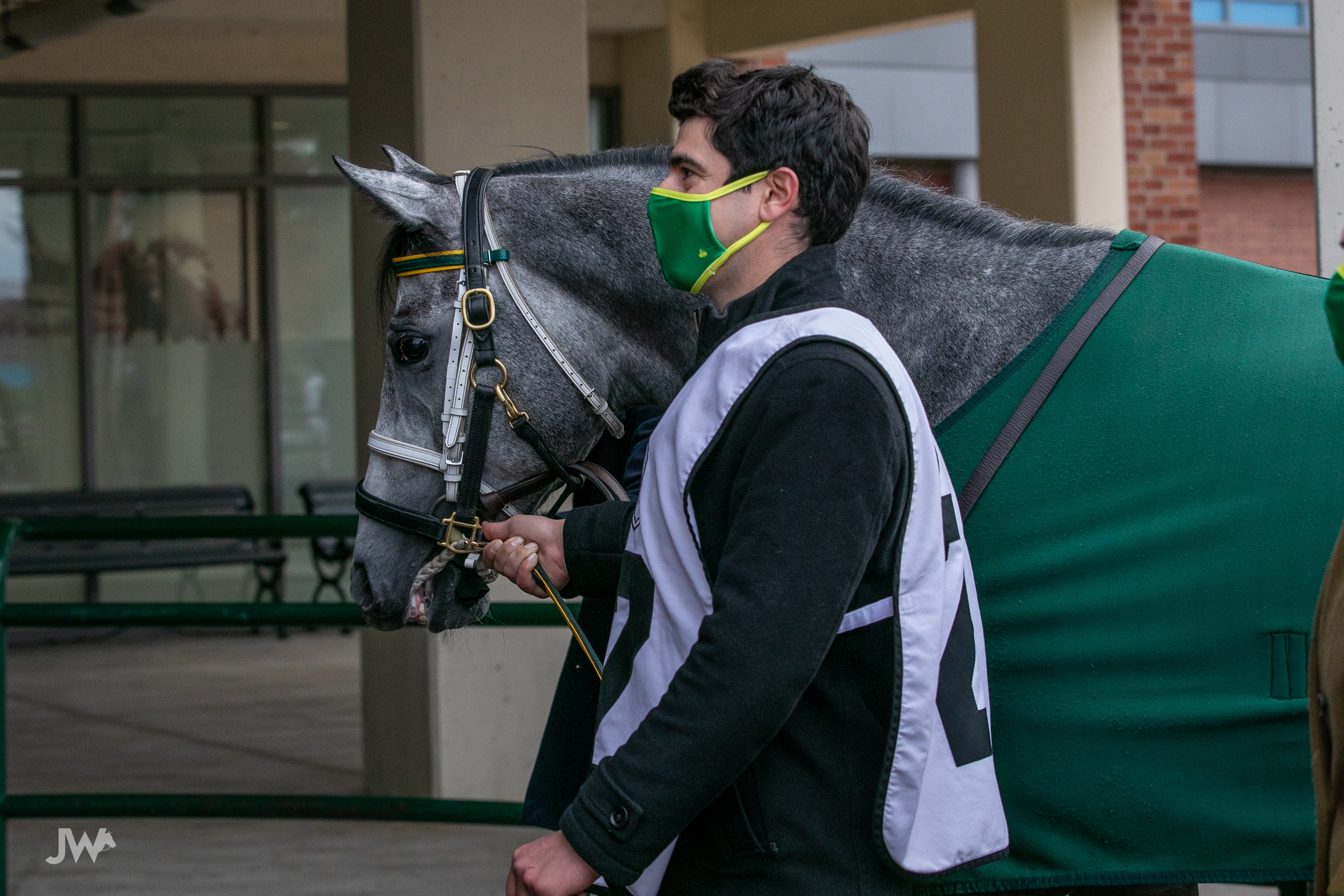 Jennifer Morrison’s Woodbine Thoroughbred Selections: Saturday, November 21, 2020