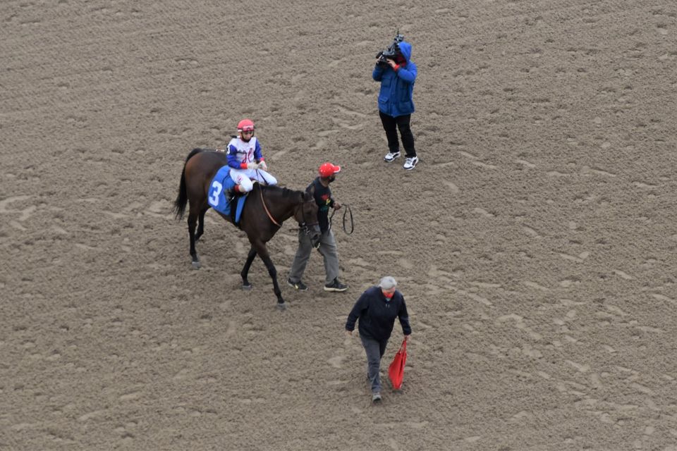 Jennifer Morrison’s Woodbine Thoroughbred Selections: Friday, October 23, 2020