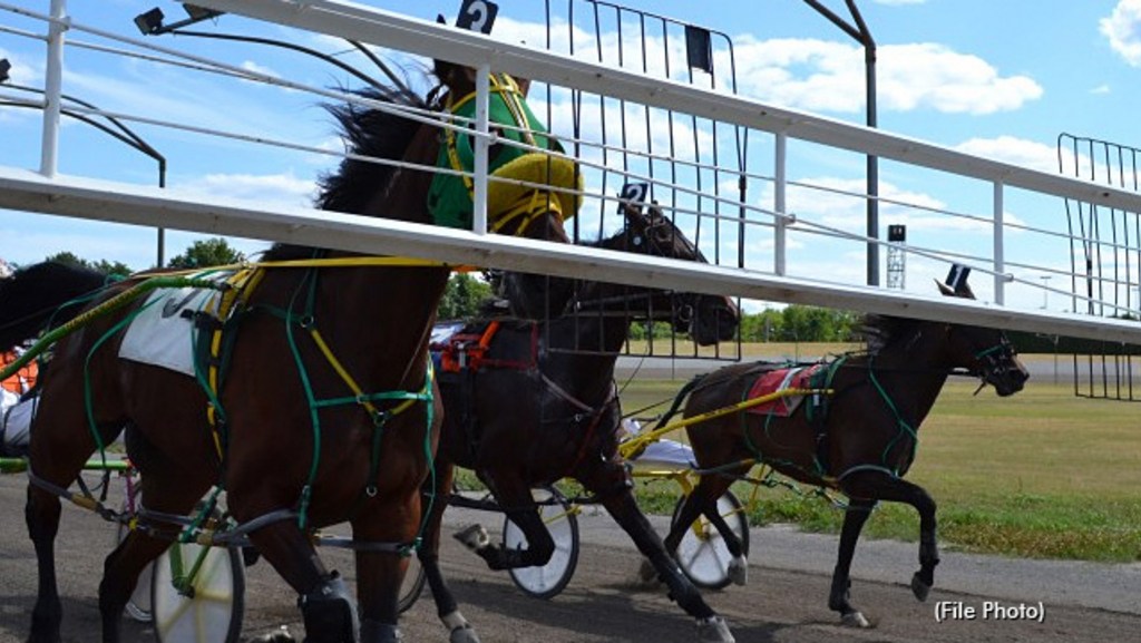 Gold Series races highlight 10-race card as OSS 50th Anniversary heads to Rideau Carleton Raceway