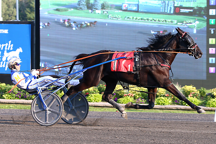 Twin B Archie makes winning debut in Gold Series