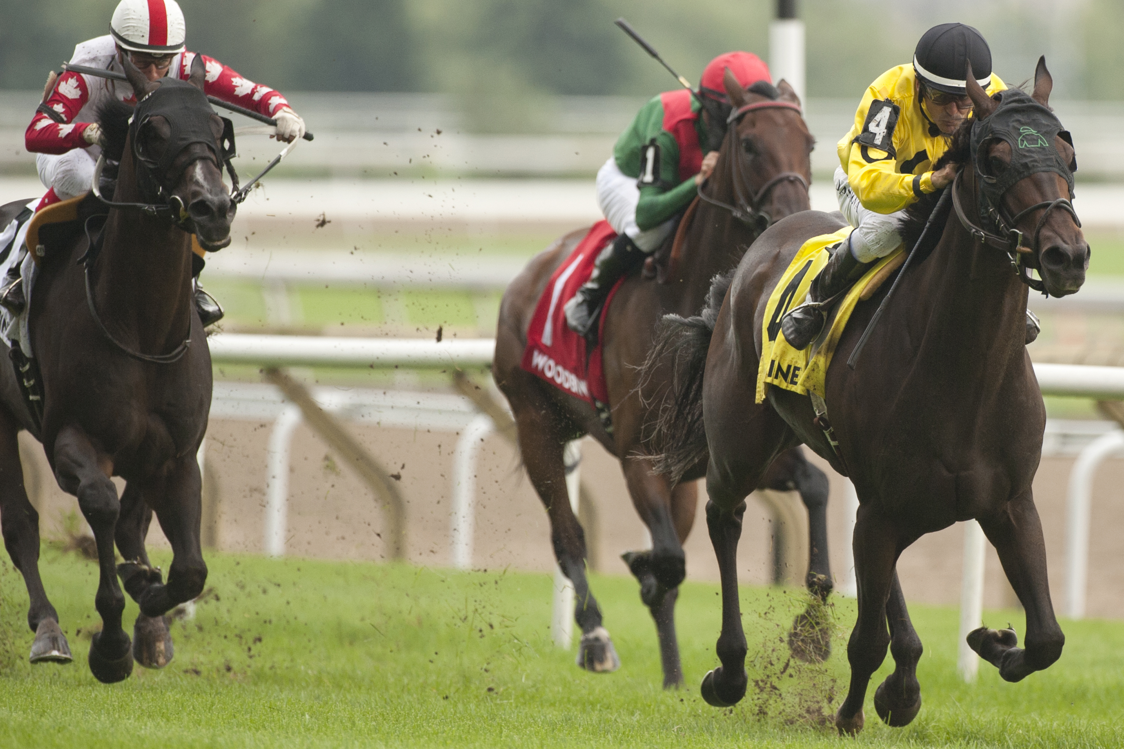 Ricoh Woodbine Mile Notes for Monday, September 10, 2018