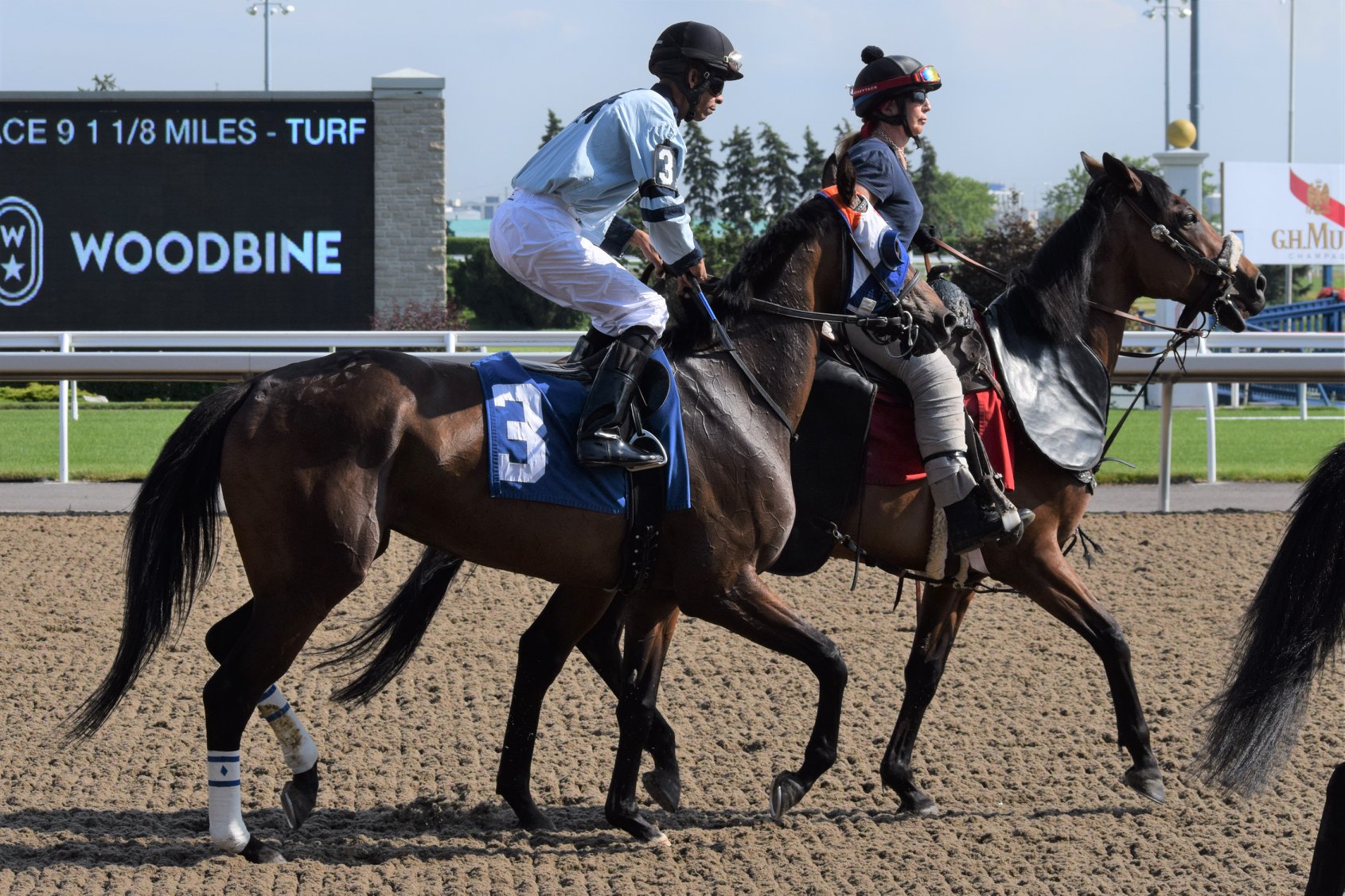 Jennifer Morrison's Woodbine Selections: Sunday, August 18, 2019