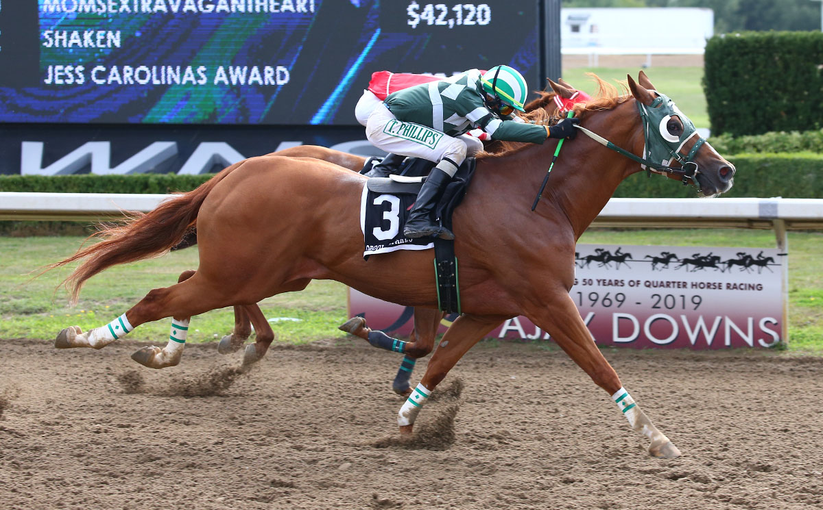 Reigning Horse Of The Year Fiesty Icon Conquers Ontario Sires Maturity ...