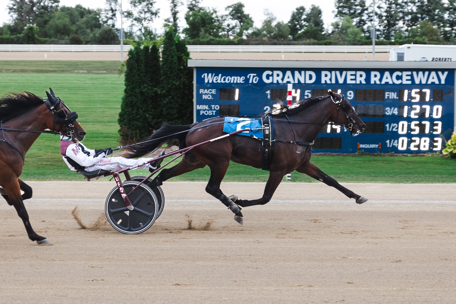 Ontario Sires Stakes Gold Series rookie trotters show out at Grand River Raceway