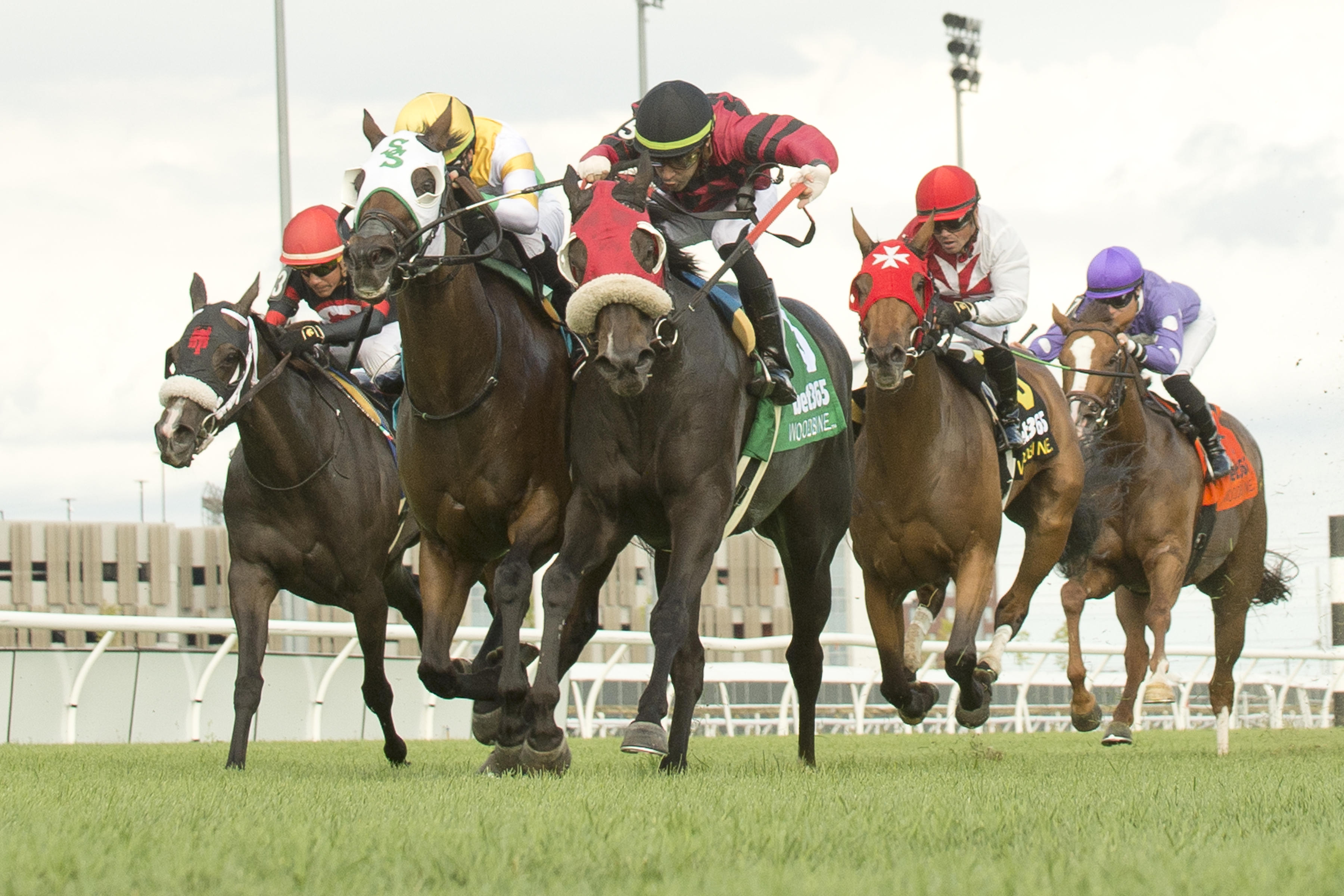 Sacred Dancer and jockey Sahin Civaci winning the Zadracarta Stakes on September 10, 2023 at Woodbine (Michael Burns Photo).