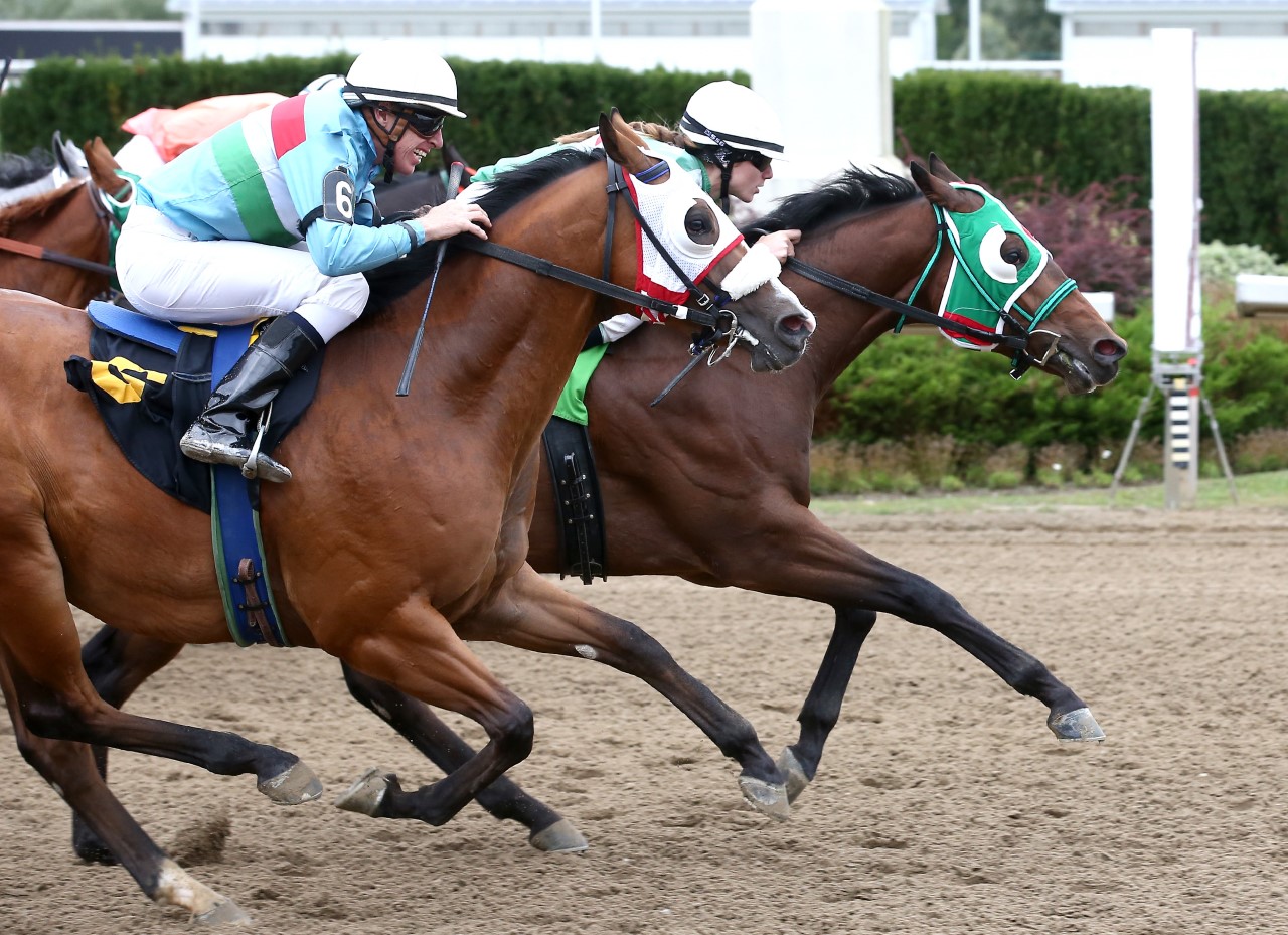 Ontario-Bred Eazy Street a star on the rise