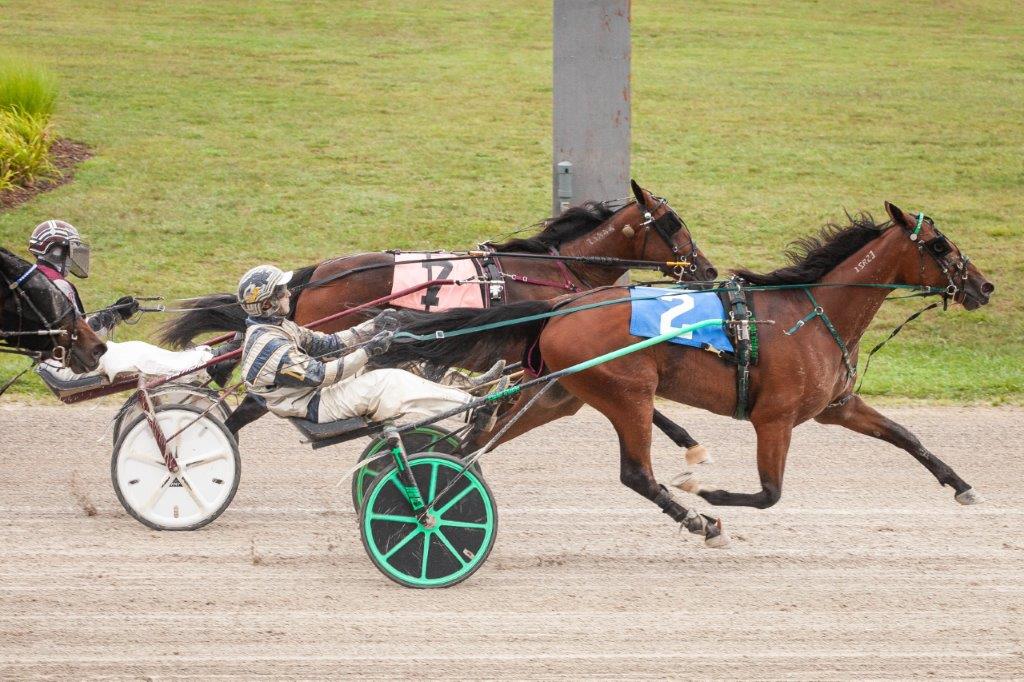 Michael Carter’s Flamboro Downs Selections: Wednesday, October 13, 2021