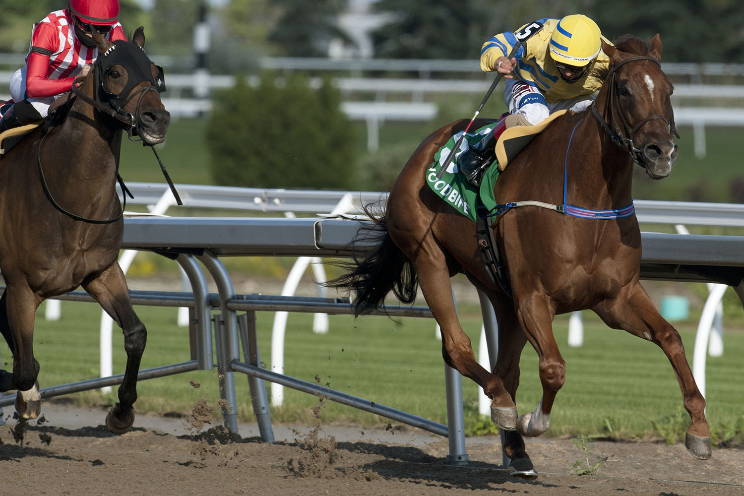 Woodbine Winter Report: March 17, 2021 (Dale Romans discusses Queen’s Plate prospect Smiley Sobotka, Hall of Fame trainer Robert Tiller talks Pink Lloyd and other stable stars, Ontario stallion Prime Attraction, and more)
