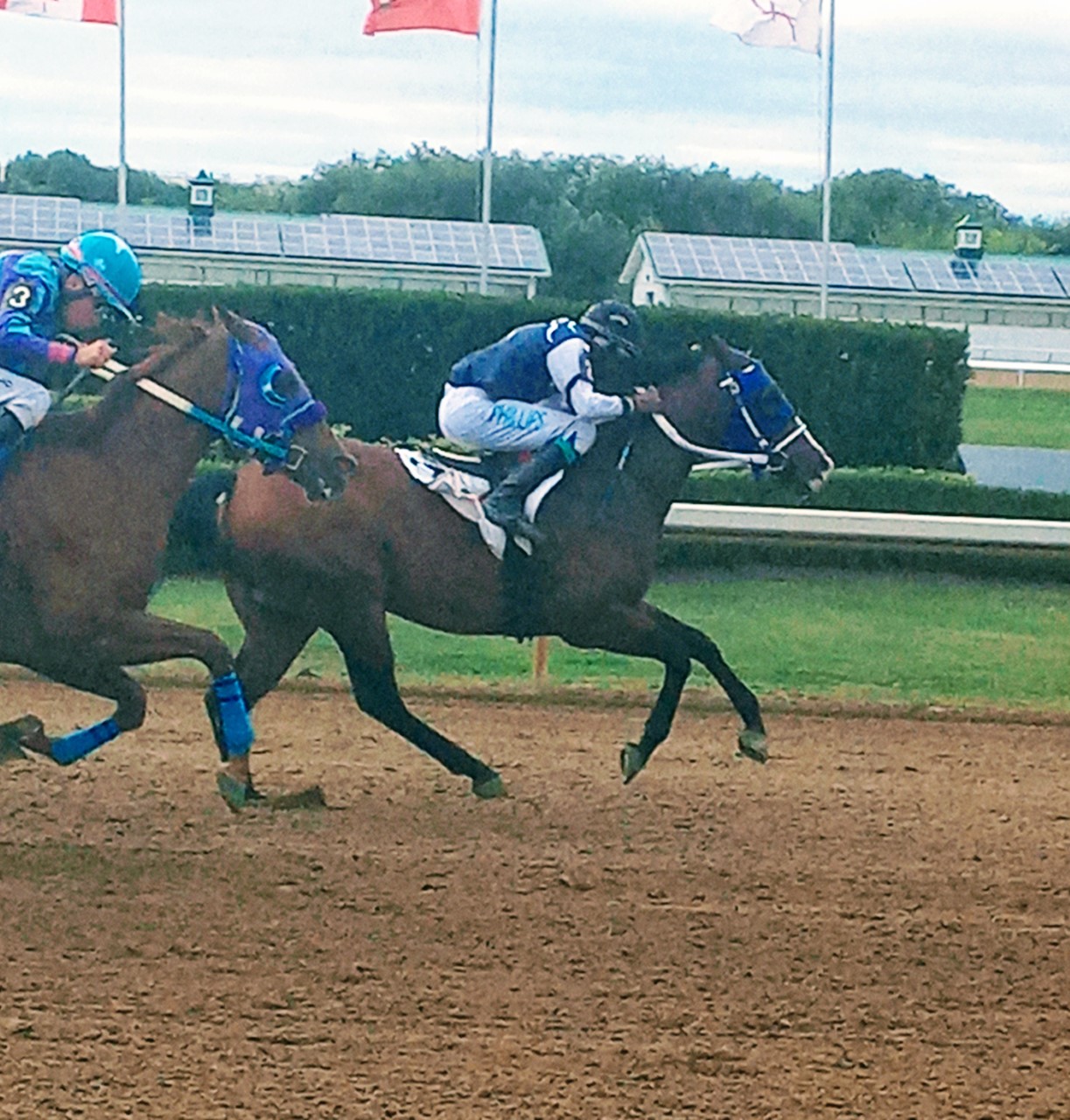 Ajax Downs' Jockey Title Is a Race to the Finish