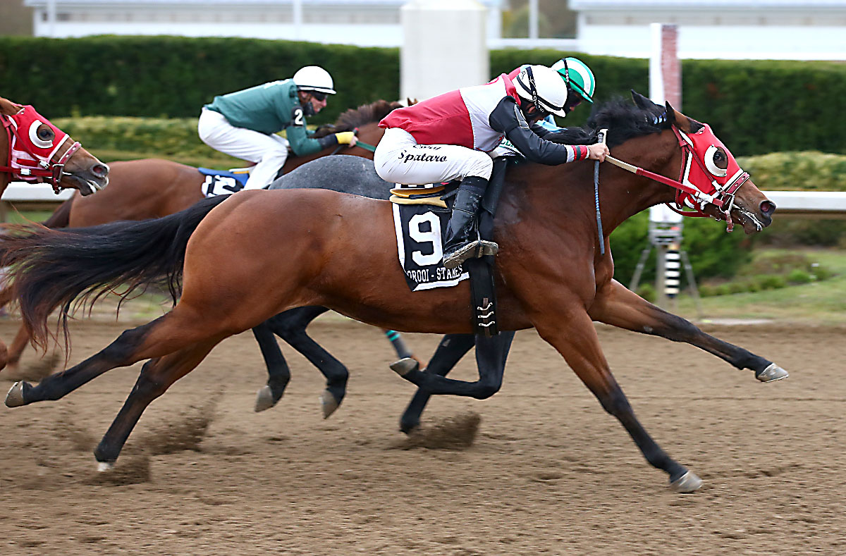Picov family's Hanover Hill Theresa Captures $64,700 Ontario Sired Stakes Futurity