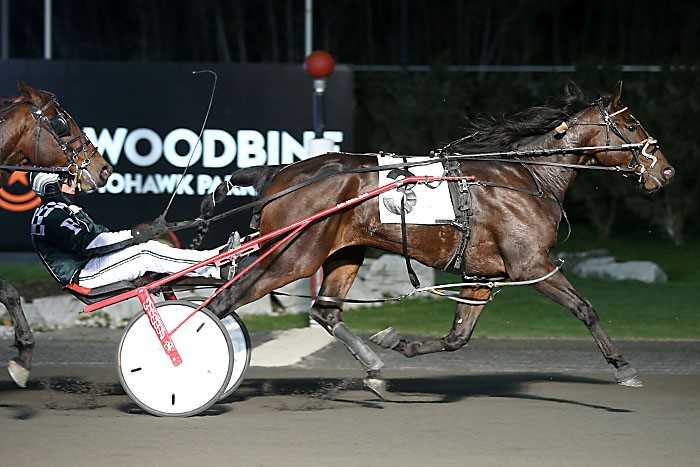 Johnny Bravo prevails in round two of Harvest Series