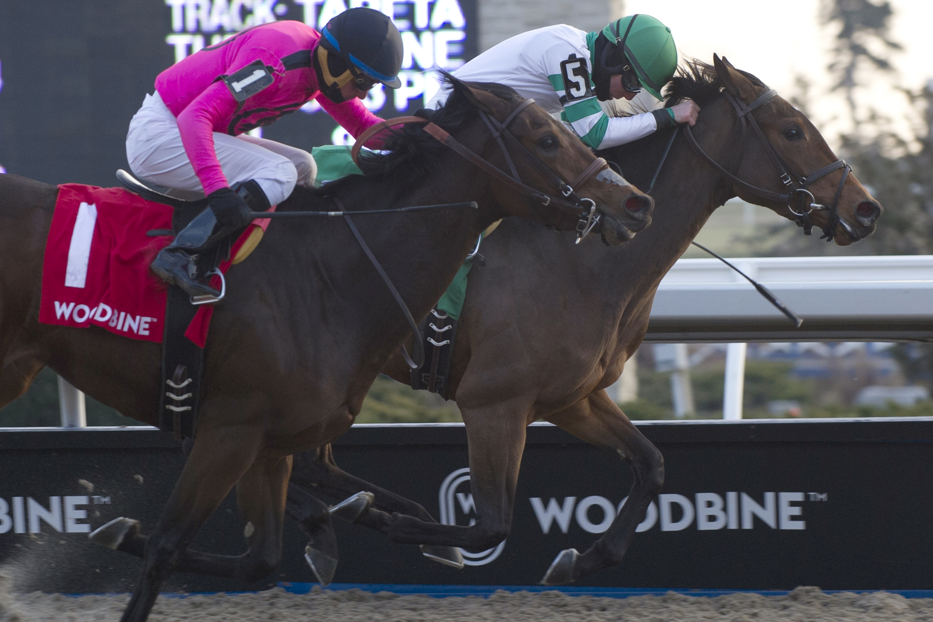 Artilena gives Day Phillips second straight victory in Ontario Lassie