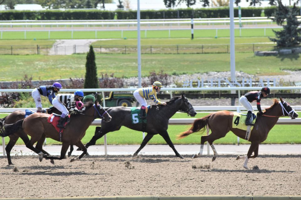Jennifer Morrison’s Woodbine Thoroughbred Selections: Sunday, September 13, 2020