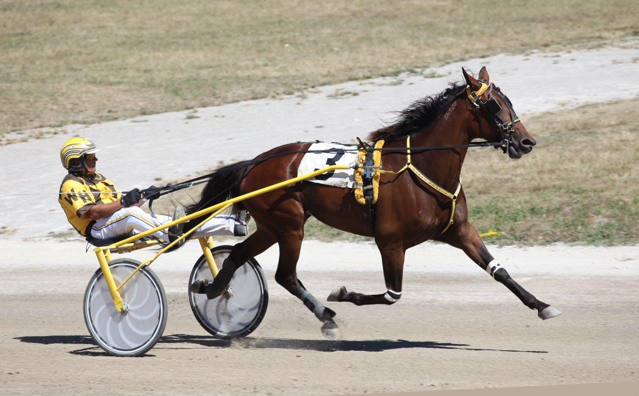 Fillies rewrite the record books on Clinton’s Kin Pace card