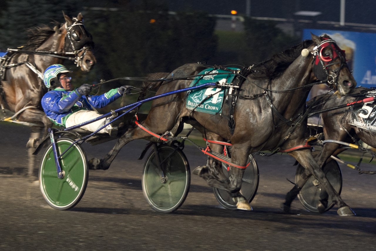 Dancin Lou wins Breeders Crown by a head