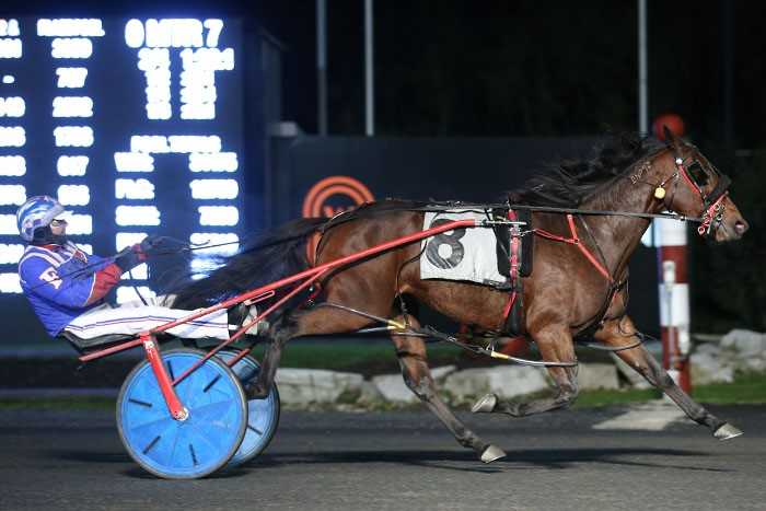 Kendall Seelster takes down older mares in Preferred