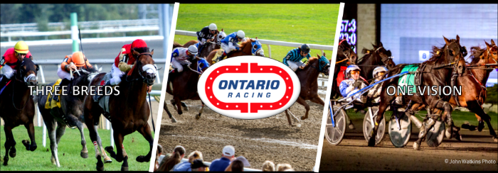 Ontario Racing Newsletter - January 2019