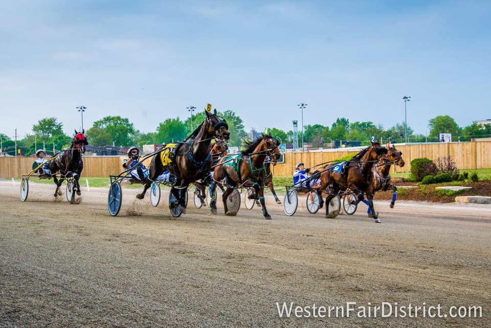 Garnet Barnsdale’s Western Fair Selections: Friday, October 16, 2020