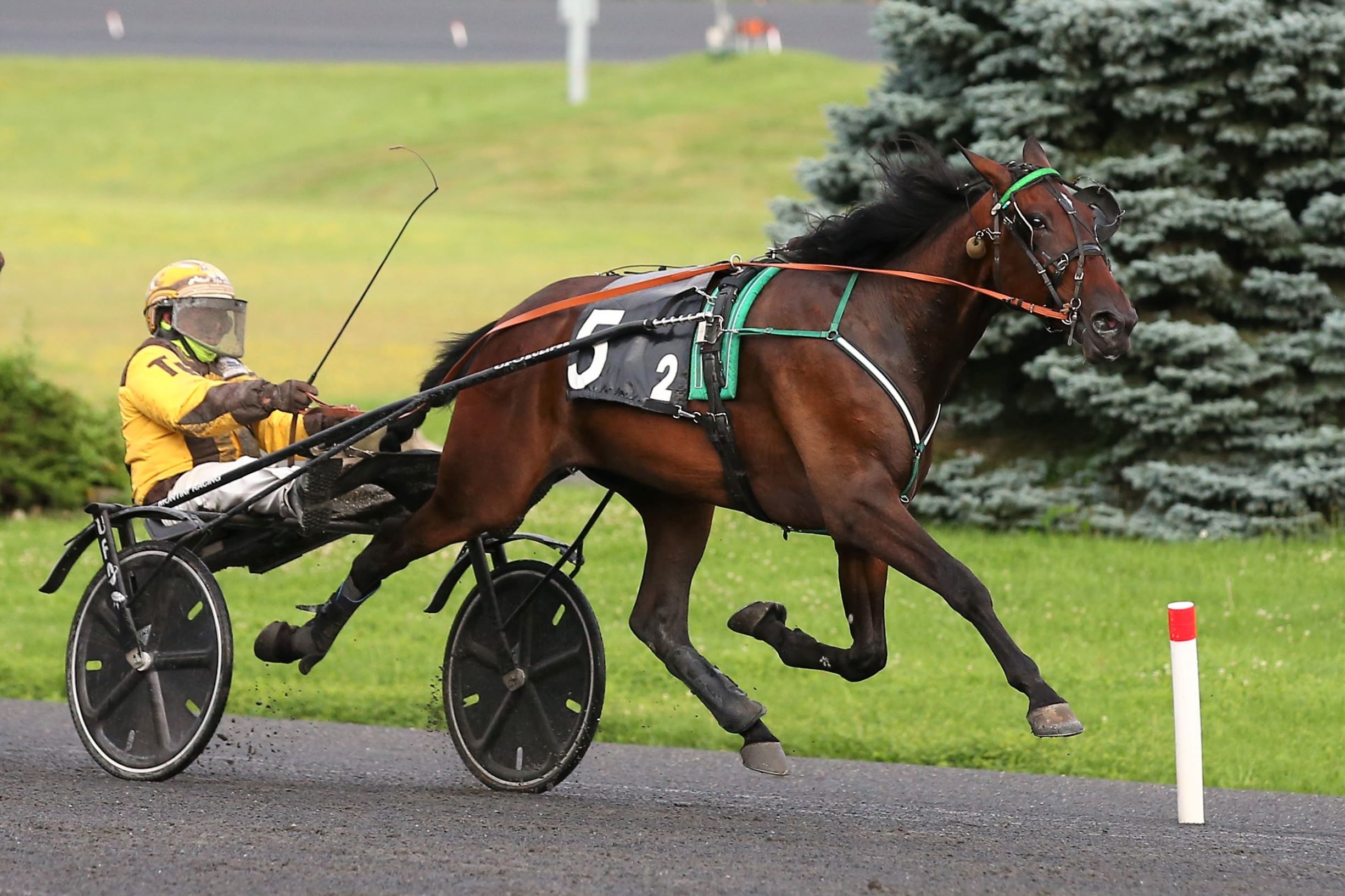 Felt Tip Marker was sharp in Innisfil Tuesday