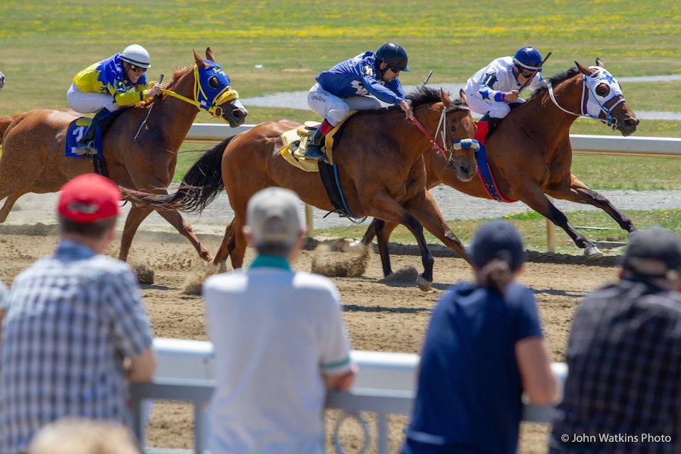 Quarter Horse racing vs. Thoroughbred racing - how are they different?