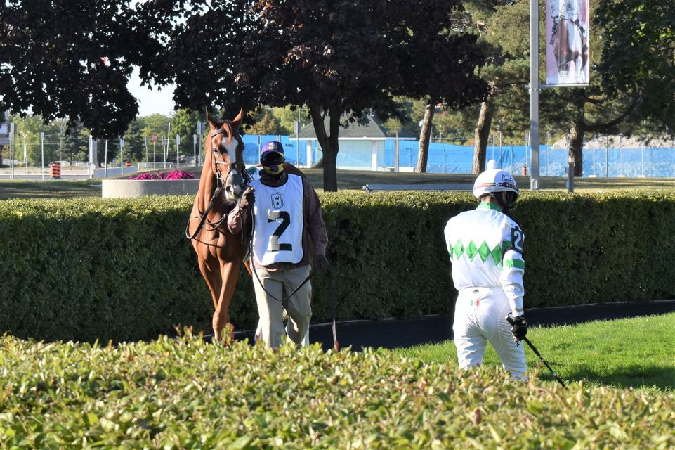 Jennifer Morrison’s Woodbine Thoroughbred Selections: Friday, November 20, 2020