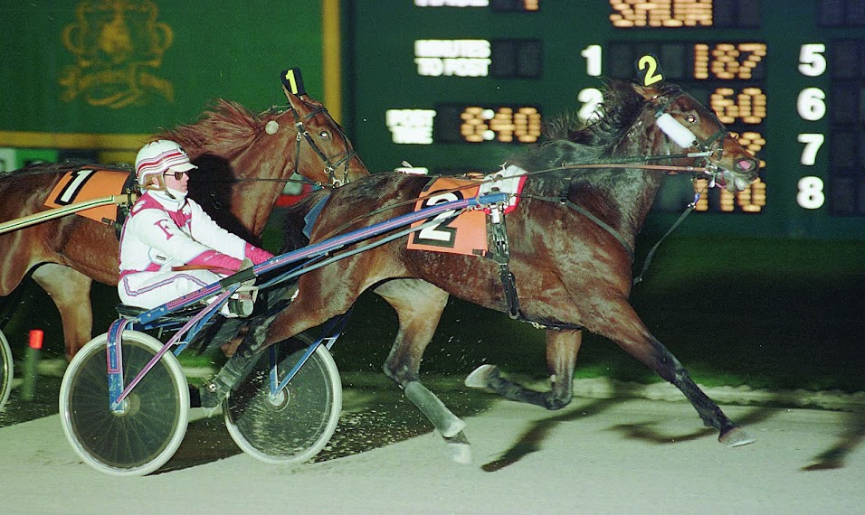 Remarkable Image, shown above, was an O’Brien winner in 1997 in the two-year-old trotting filly class.