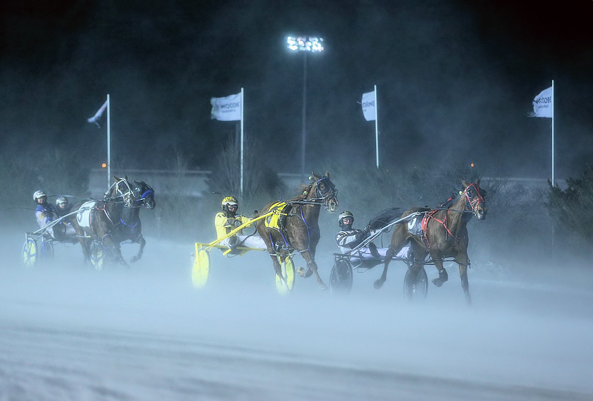 Woodbine Mohawk Park To Race Over Holidays - Ontario Racing