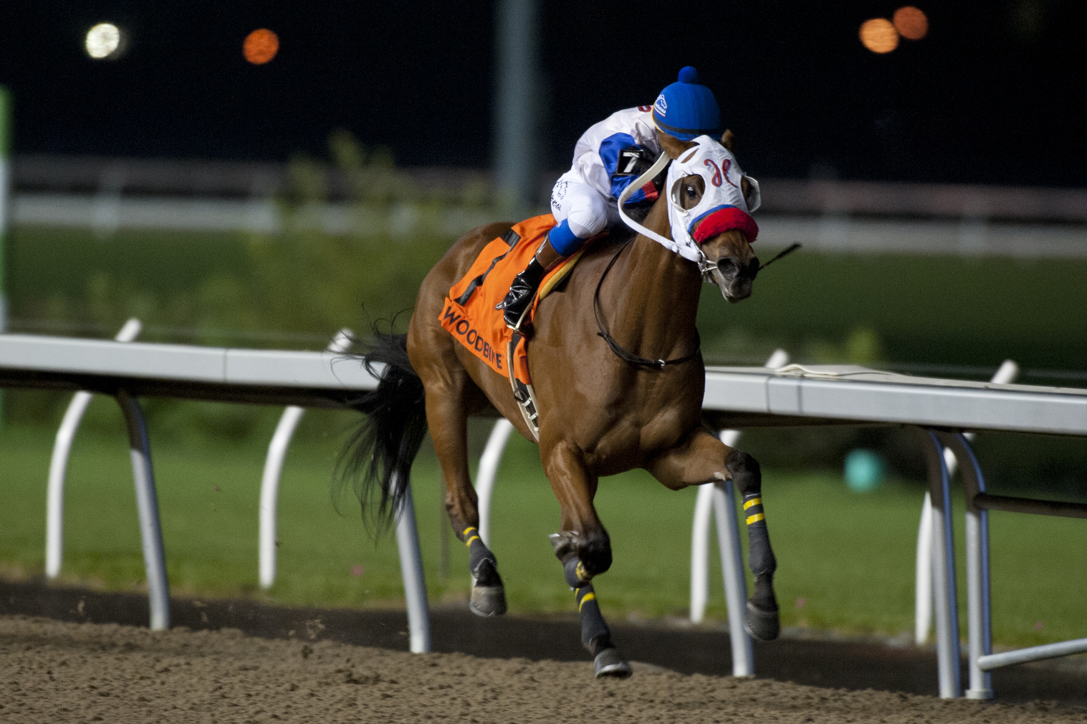 My Silencer looks to make some noise (again) in Kingarvie