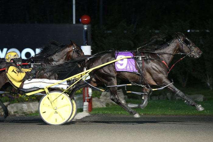 Capers 3 Stable members on the ride of a lifetime