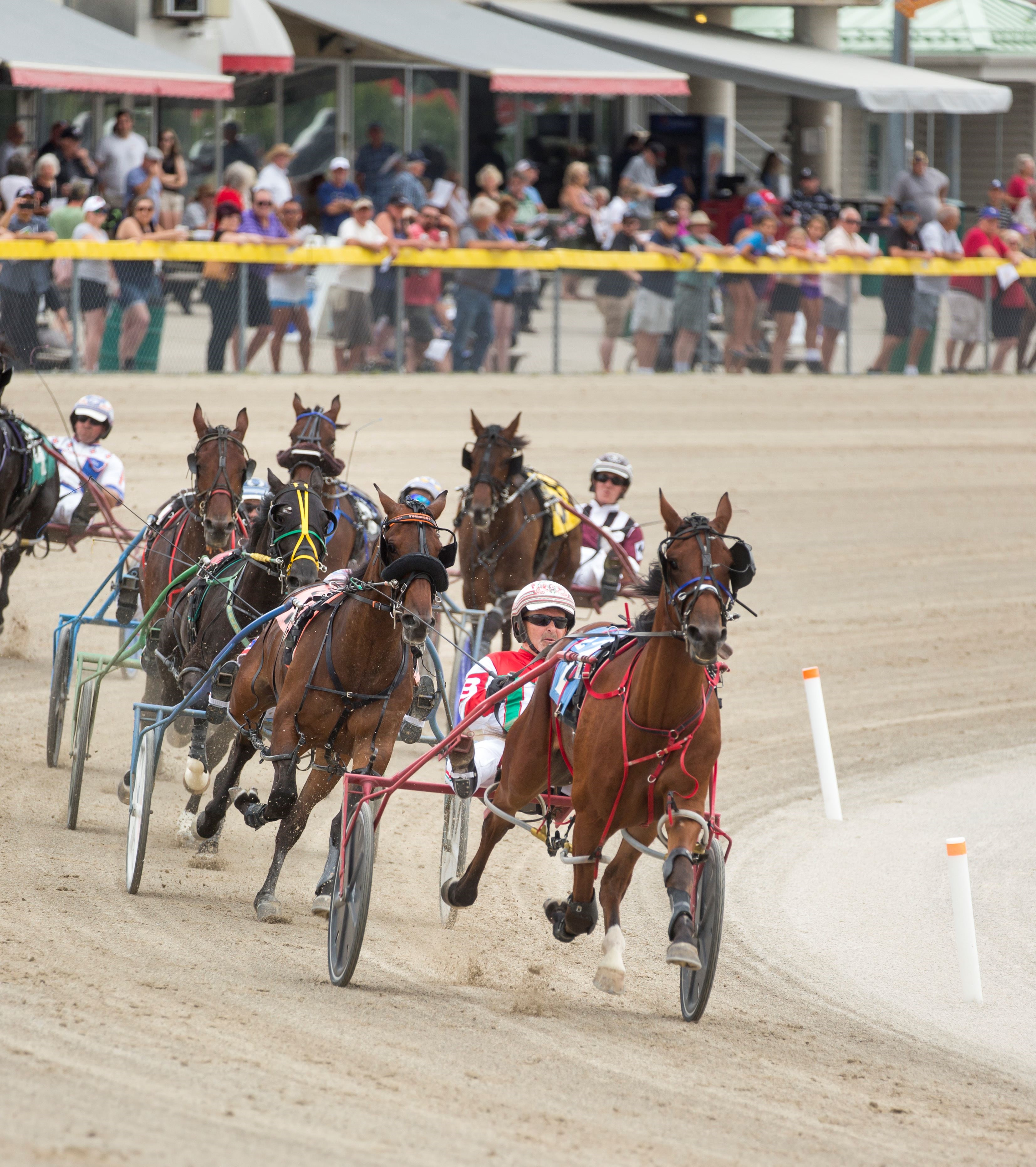 Battle of Waterloo Draws 11; 'Belles Attracts 12
