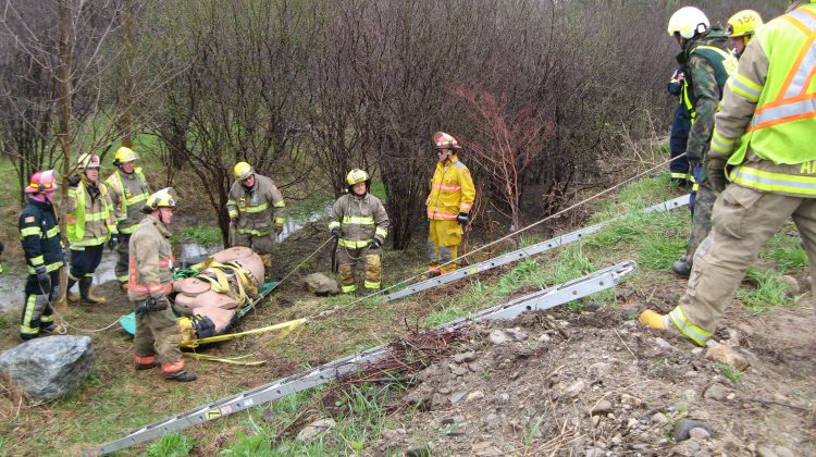 Equine Guelph: Large Animal Rescue Awareness/Operational Training