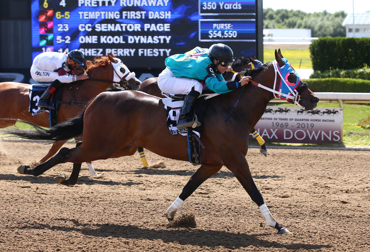 Ontario-bred One Kool Dynasty charges to Princess Derby victory; Shake It Twice wins thrilling Ontario Sired Stakes Maturity