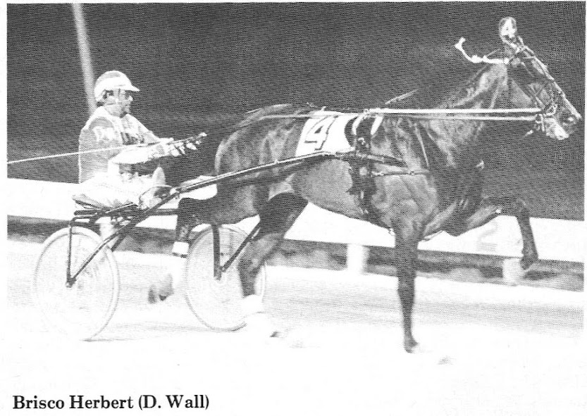 In 1983, Brisco Herbert led all three-year-old trotting colts with earnings of $115,000 in OSS action, and $156,620 total.