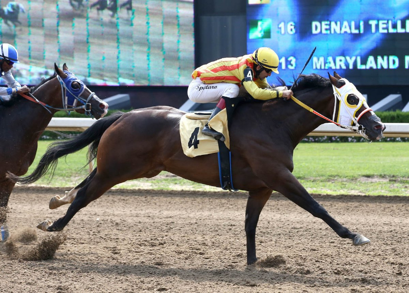 Country Boy 123 breaks 8-year-old Track Record