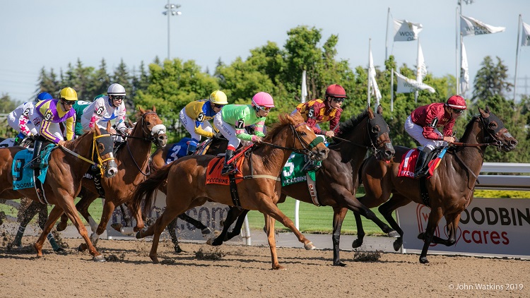Horse Racing 101 Lunch n Learn with Elissa Blowe