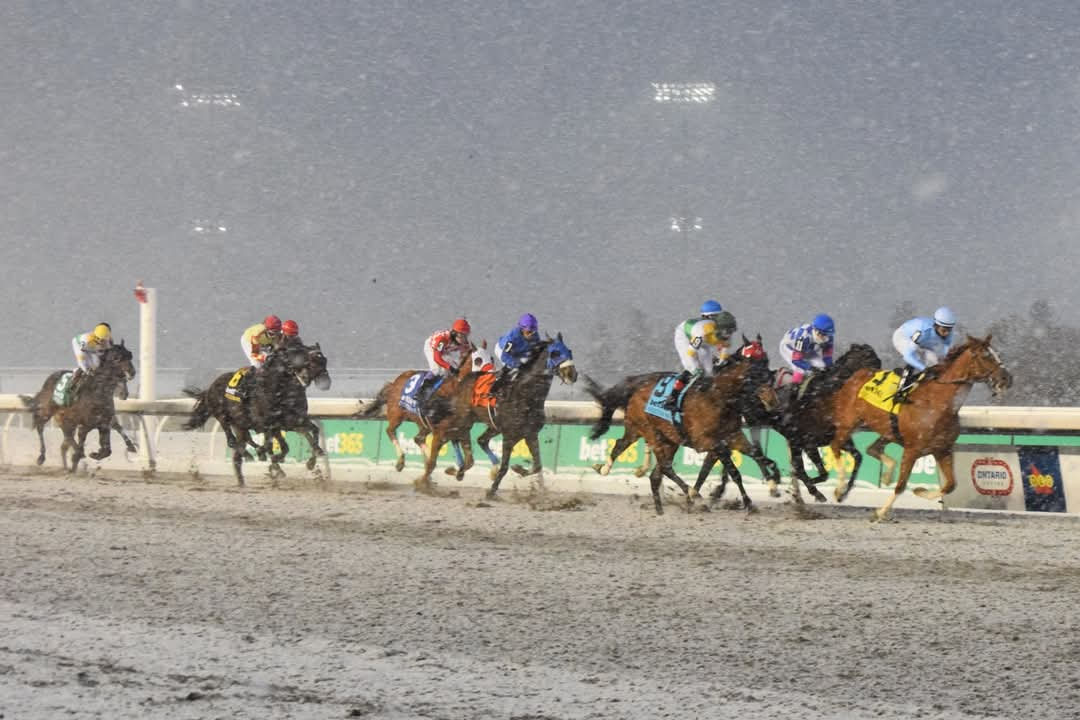 2024 at Woodbine Racetrack in review