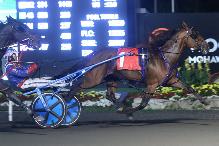 Century Farroh prevails in fifth straight Gold test