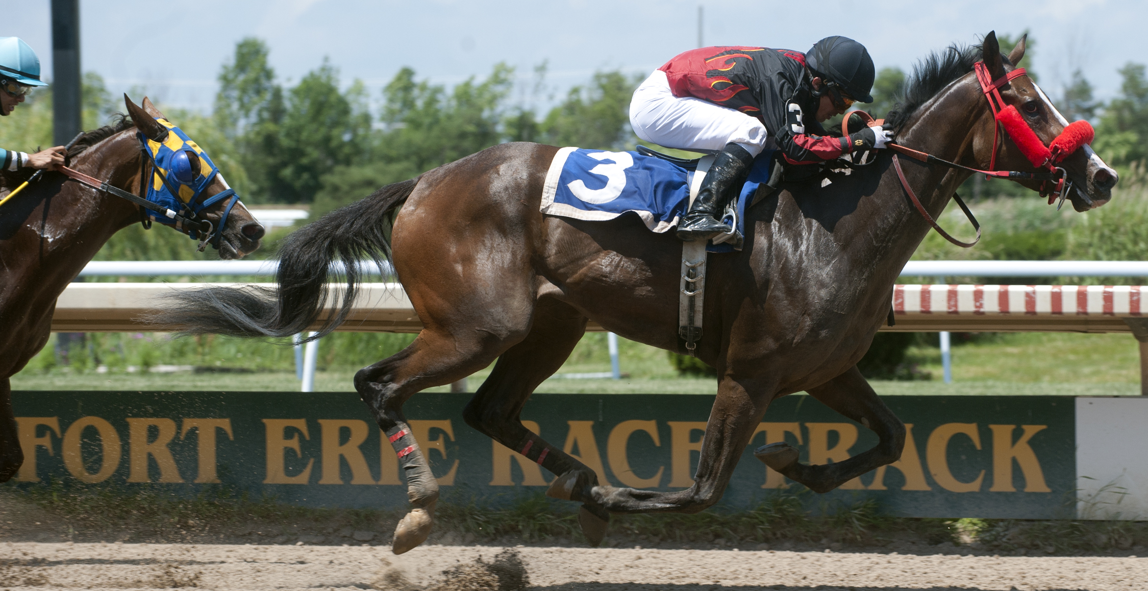 Fort Erie Announces Plan to Reopen to Spectators