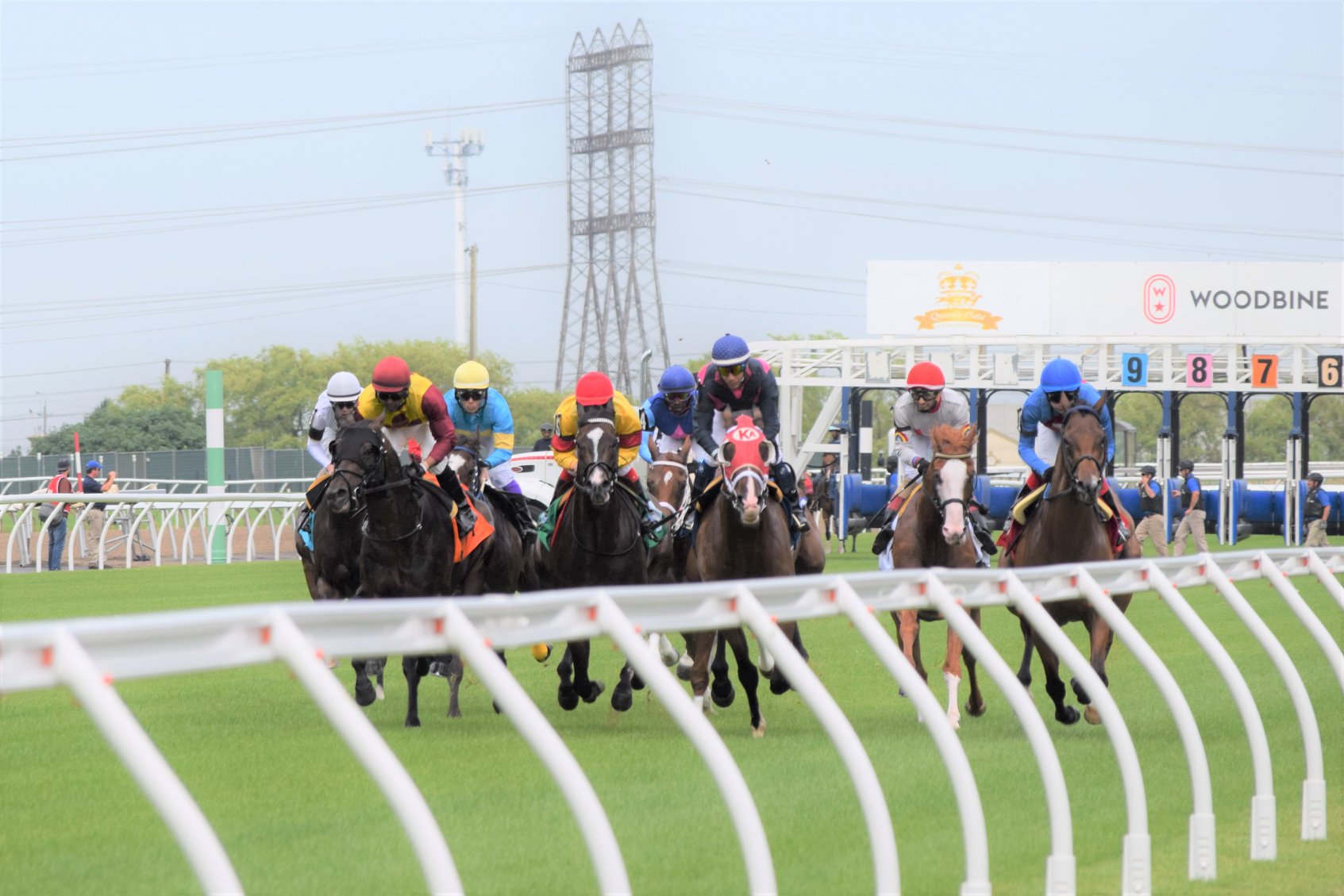 Woodbine Entertainment, Racetracks of Canada, Quebec Jockey Club & HBPA Address Committee Regarding Sports Betting