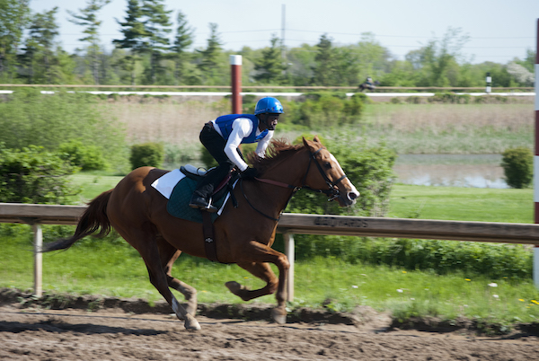 One week until opening day at Fort Erie
